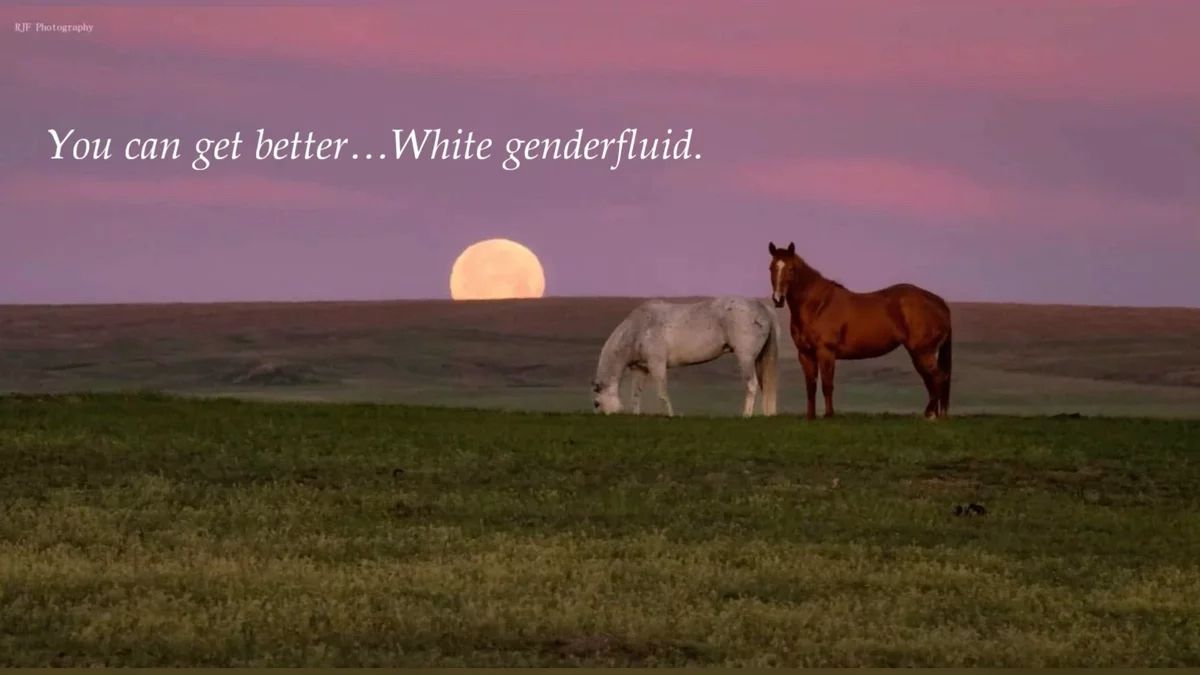 horse dentist tweet media