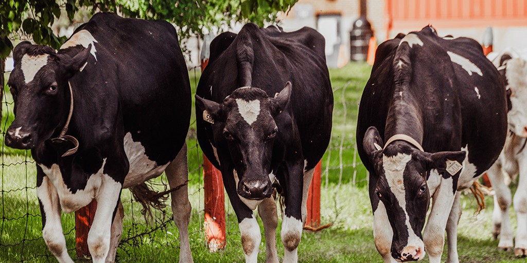 Canada Agriculture and Food Museum tweet media