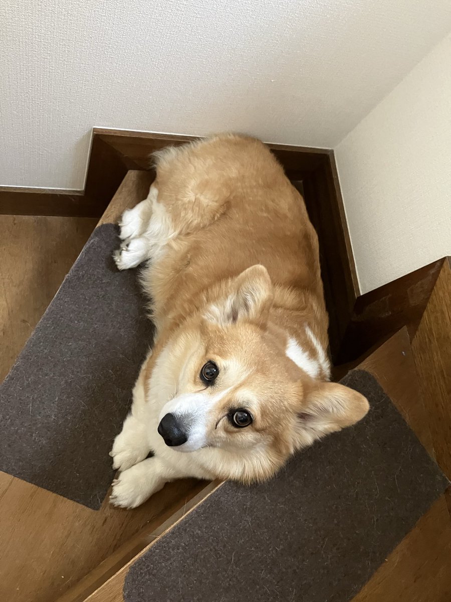 山崎だだだ tweet media