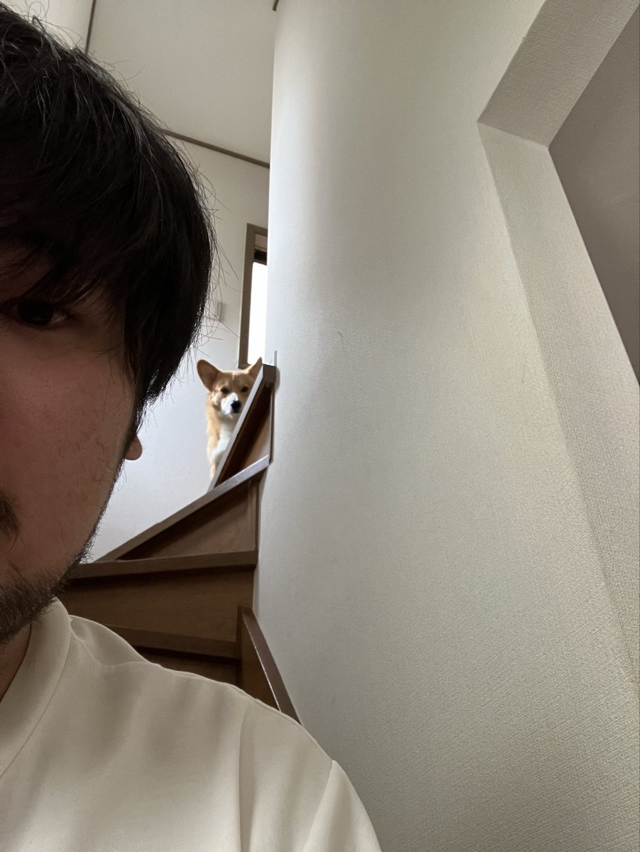 山崎だだだ tweet media