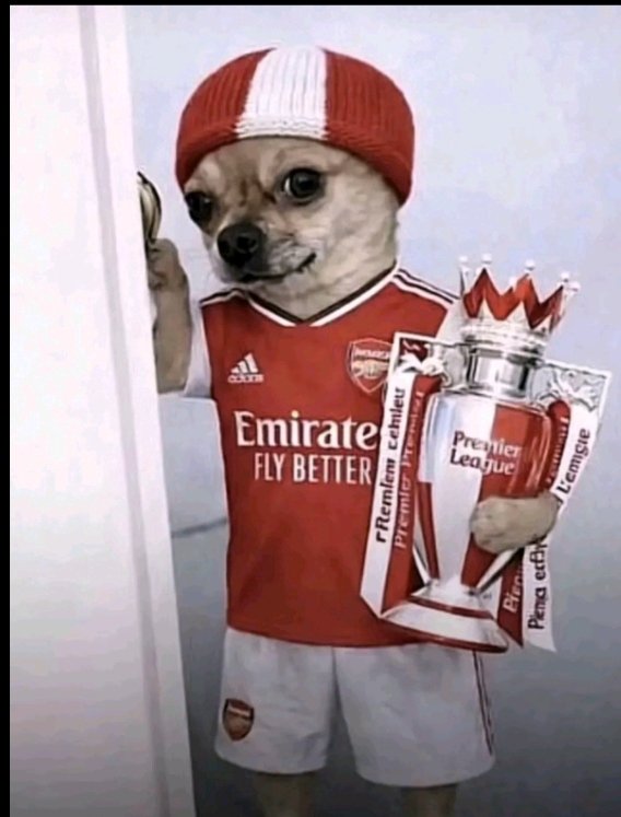 BartholomewDes4's tweet photo. Hope I'm not disturbing @Szymansk_ii @premierleague https://t.co/HGHeZuxzpJ