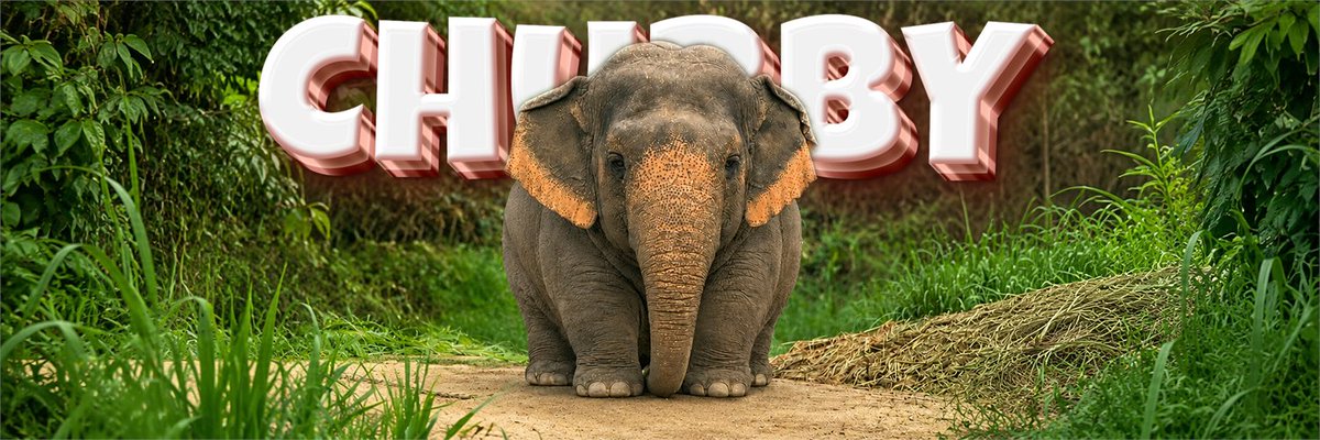 Wugi tweet media
