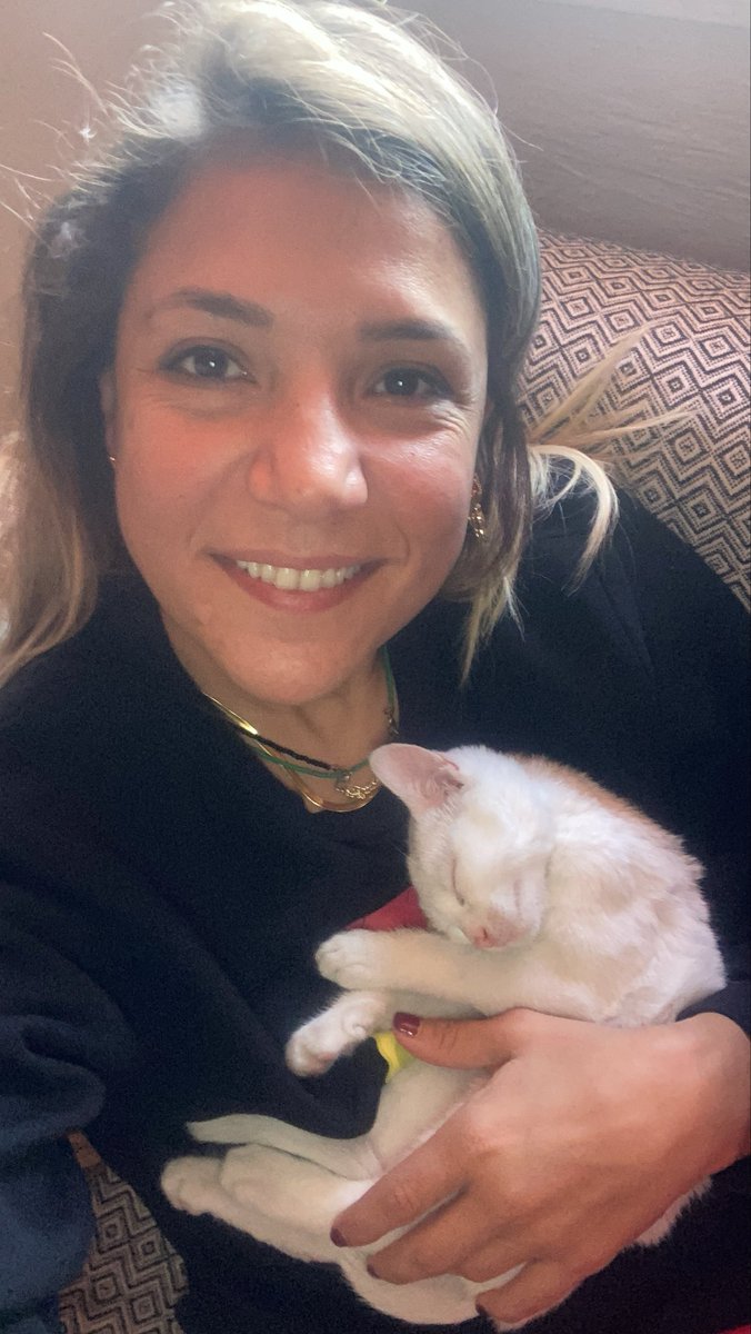 duygu tweet media