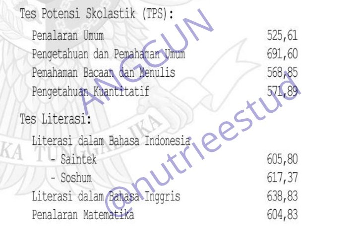 anggun²⁶ lulus gizi unesa | free tag tweet media