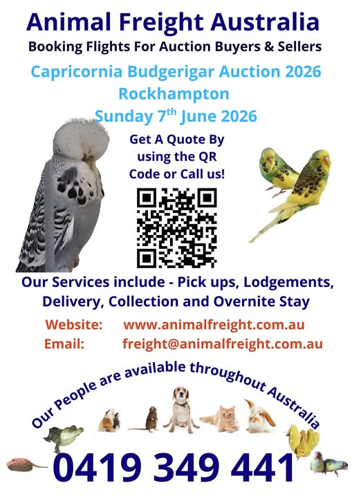capbuds's tweet photo. Mick and Ann will book your Flights to get your Birds to Rockhampton and wherever you live throughout Australia https://t.co/9myTD2PDy2