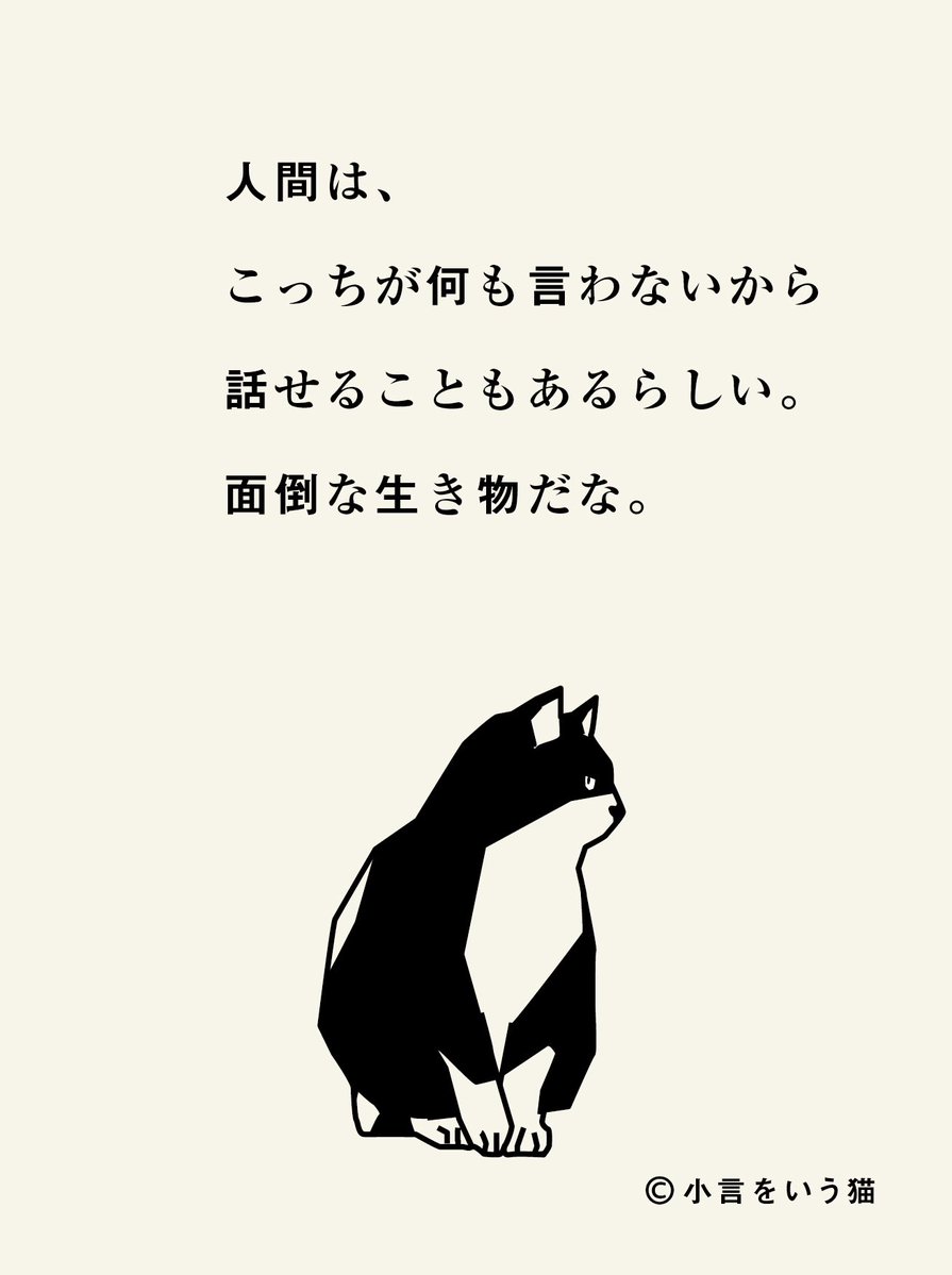 小言をいう猫 tweet media