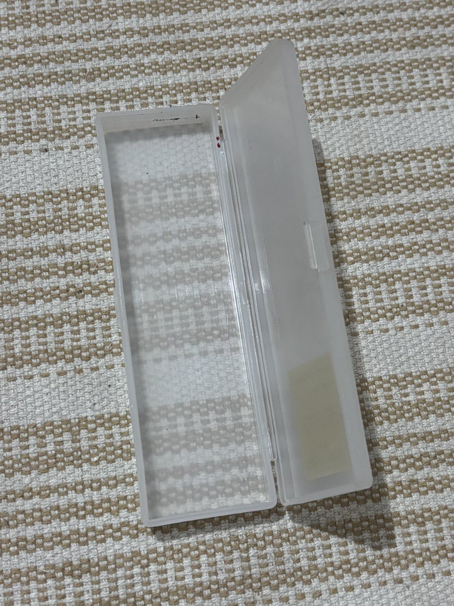 𝒷𝓇ii ꣑ৎ tweet media