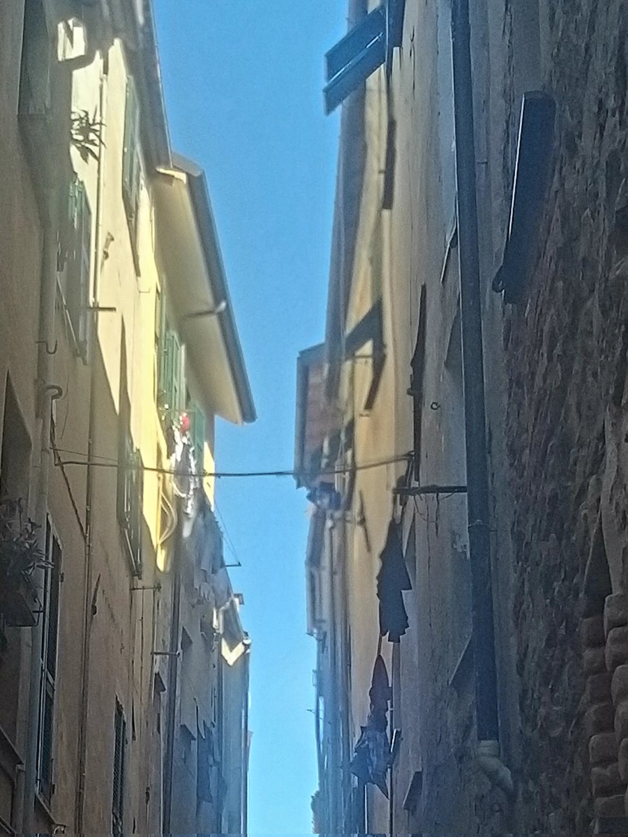 Maria Giulia tweet media