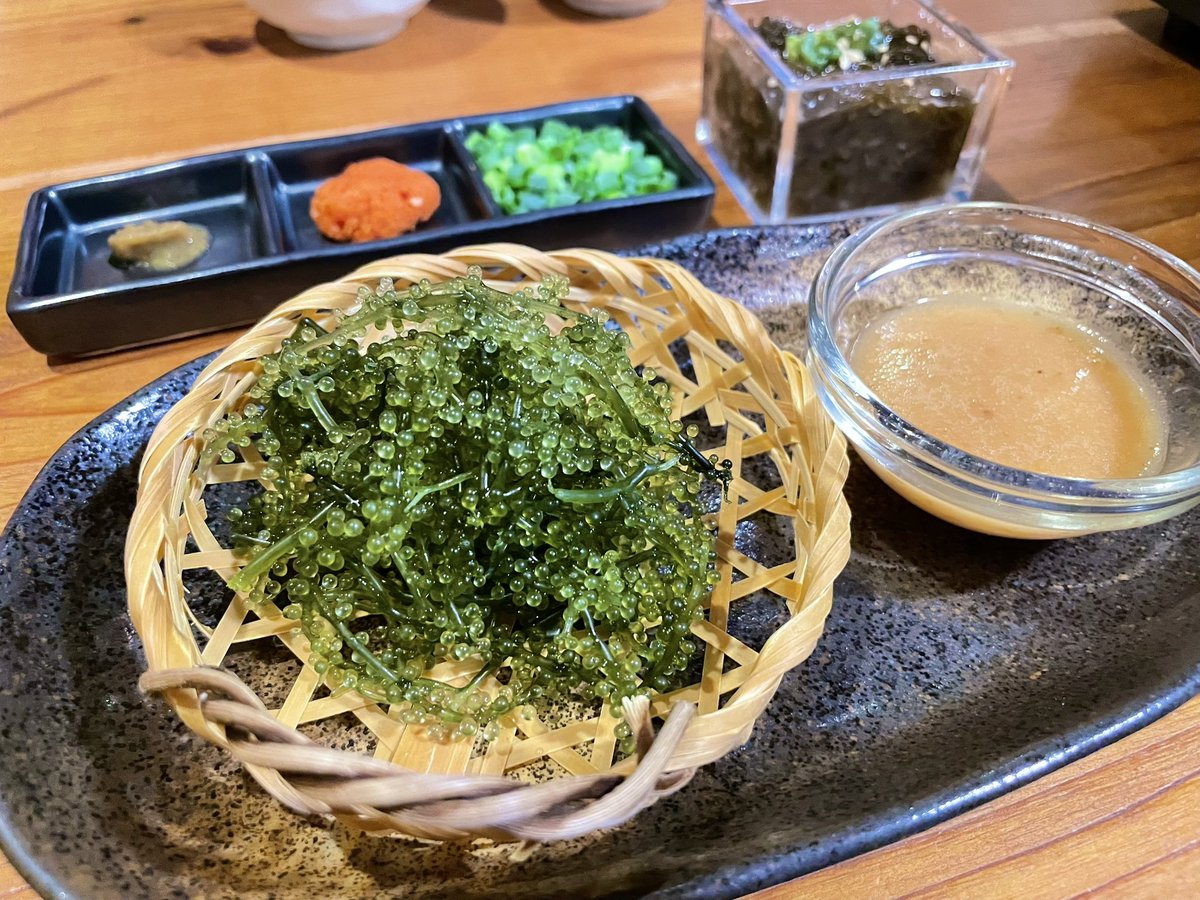 名古屋感動グルメ🏯 tweet media