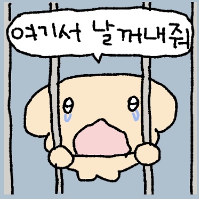 김샤메 tweet media
