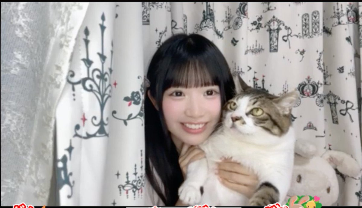 結構前にりのちに「またりの家のネコちゃん見して」って一回言ったこと 