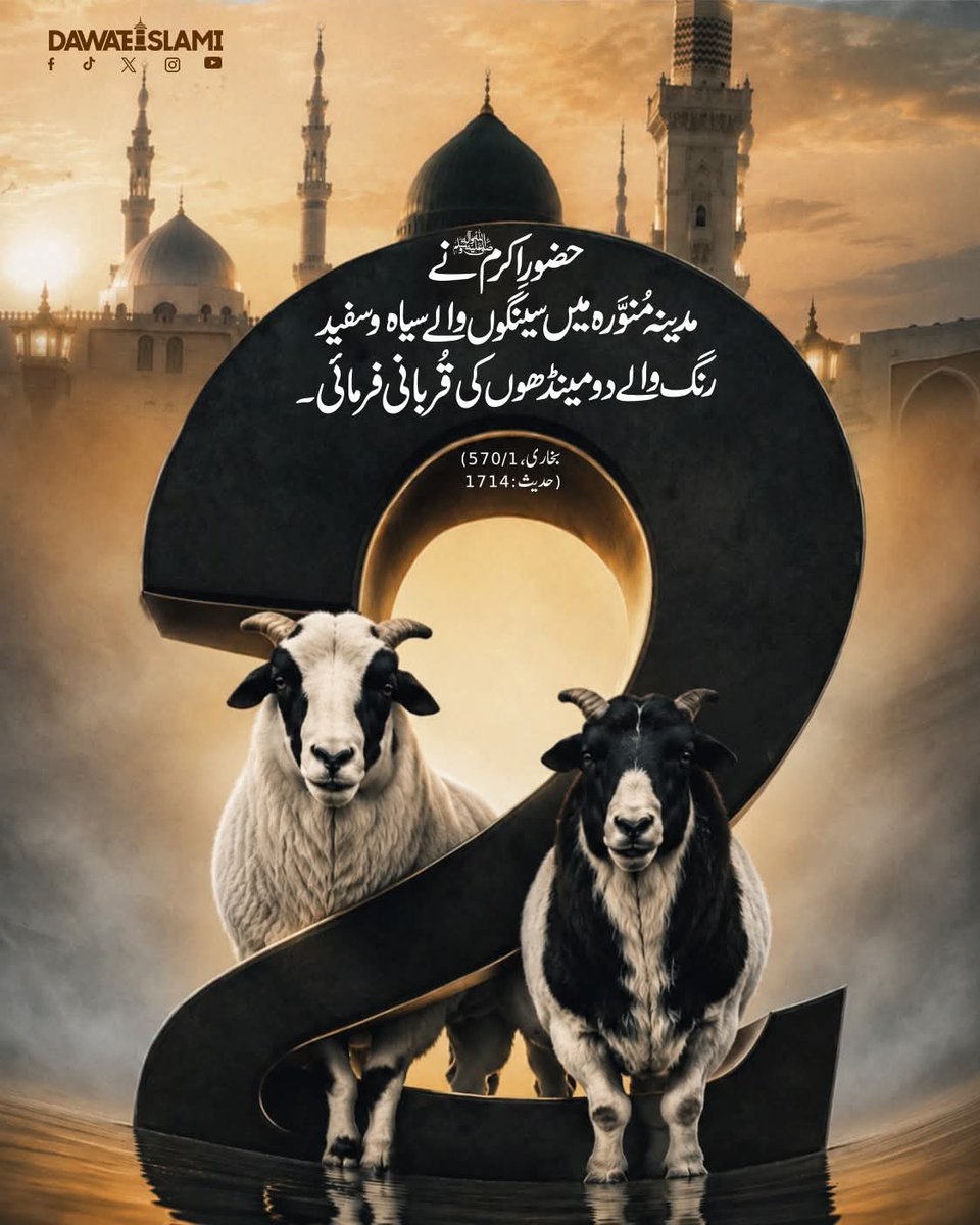 بالی💥 tweet media