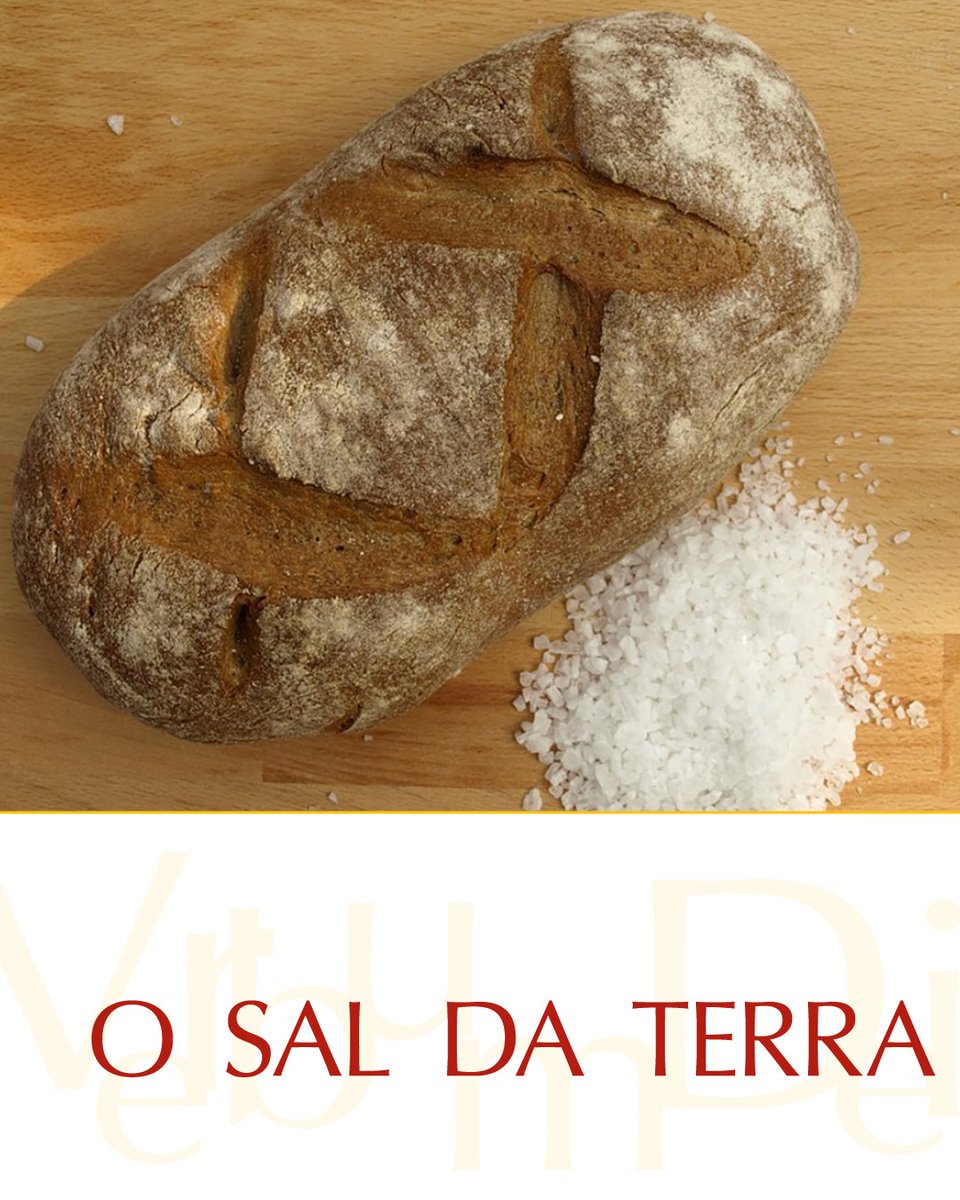 vaticannews_pt's tweet photo. Naquele tempo, disse Jesus a seus discípulos:
"Vós sois o sal da terra.
Ora, se o sal se tornar insosso,
com que salgaremos?
Ele não servirá para mais nada,
senão para ser jogado fora e ser pisado pelos homens".

#EvangelhodeHoje Mt 5,13-16
https://t.co/YtzAceGu7I https://t.co/ATAd7R6gR6