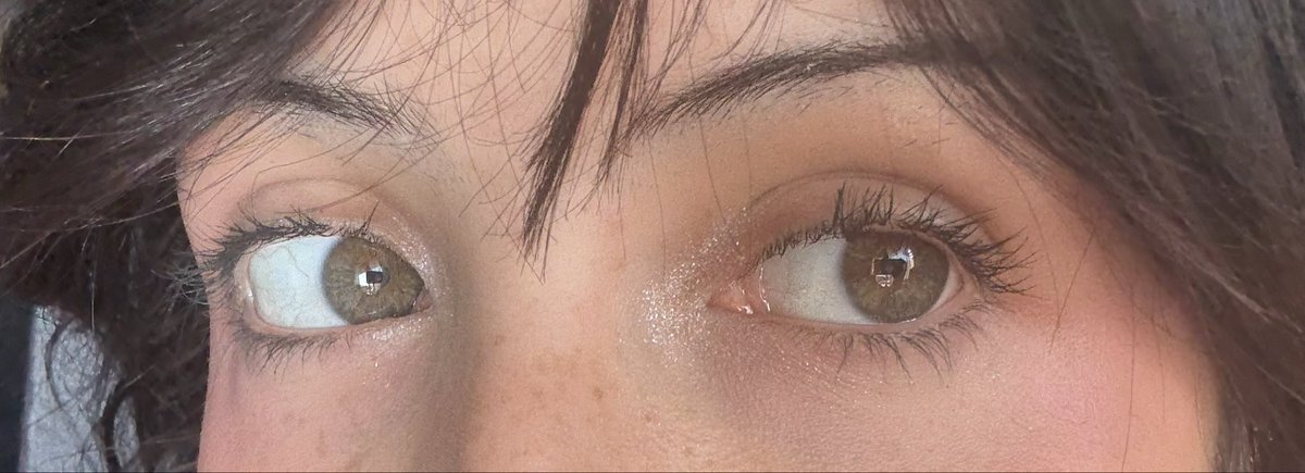 dia ✦ gigi' tweet media