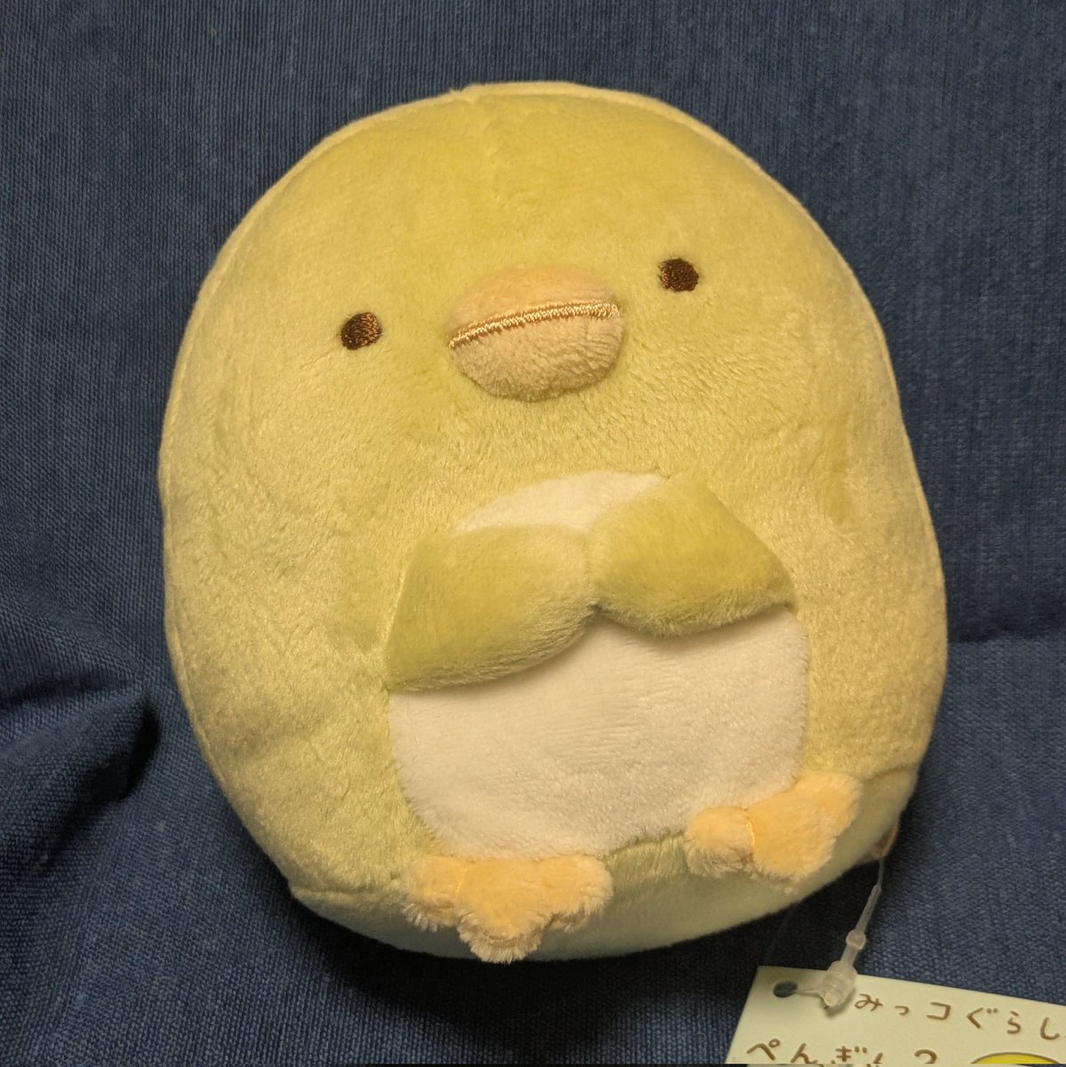 だめっコぐらし tweet media