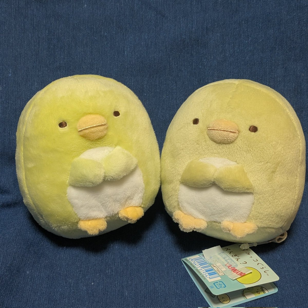 だめっコぐらし tweet media