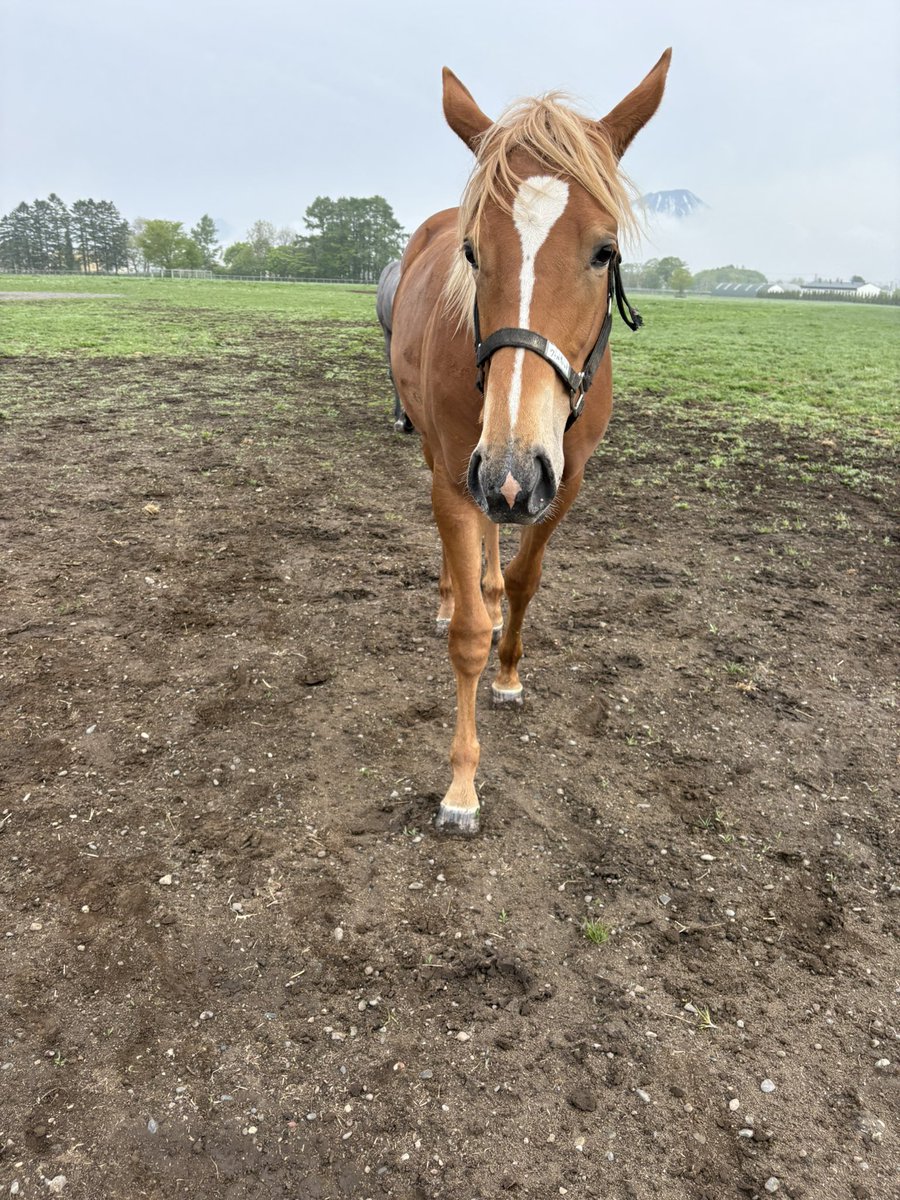 LakeVillaFarm tweet media