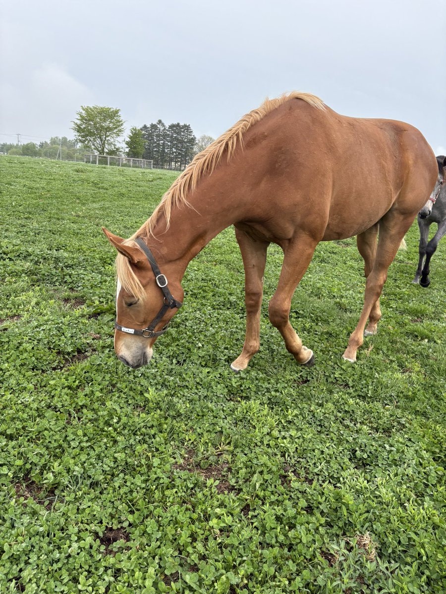 LakeVillaFarm tweet media