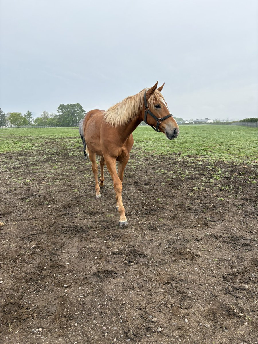LakeVillaFarm tweet media