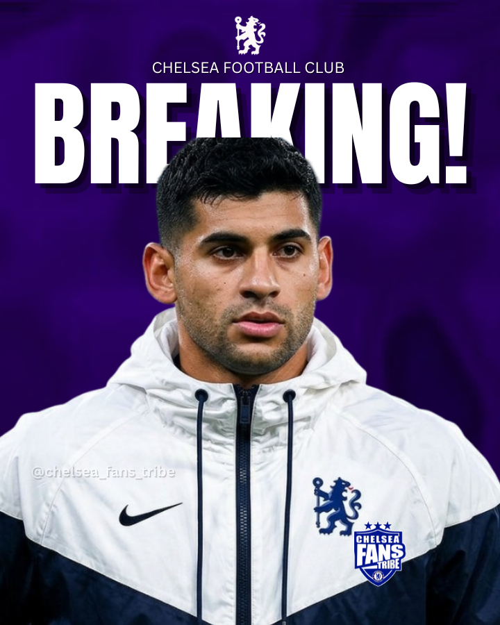 Chelsea Fans Tribe tweet media