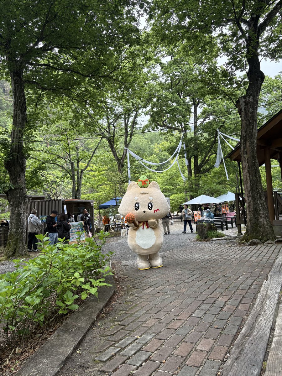 みんにゃ〜 先日の…ハレノバまるしぇ〜たのしかったがみぃ✨また会える