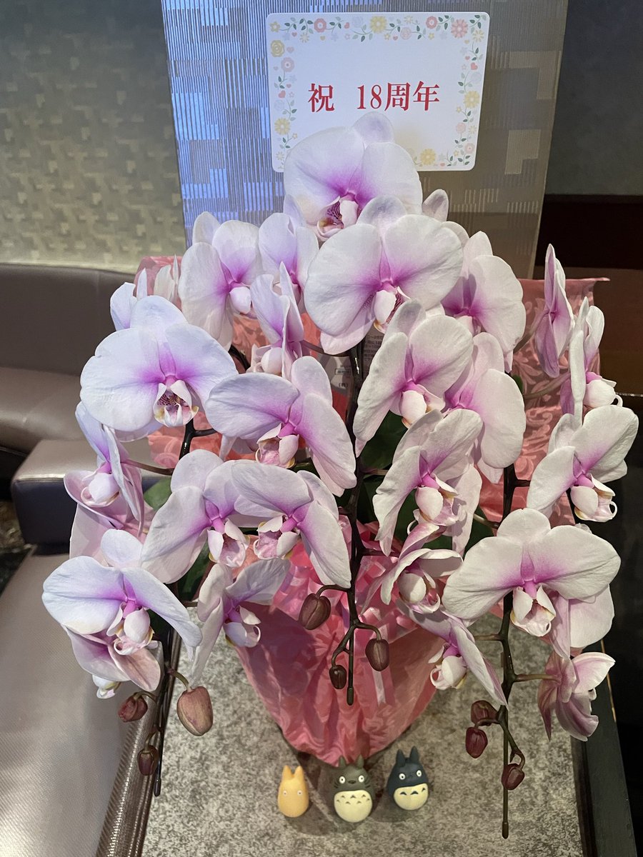 CLARIS526's tweet photo. クラリス18周年です！
これもひとえに皆様のおかげです🙇‍♀️
20周年に向けてまだまだ頑張ります♪
毎年お花をありがとうございます😊 https://t.co/JSsjeATASE