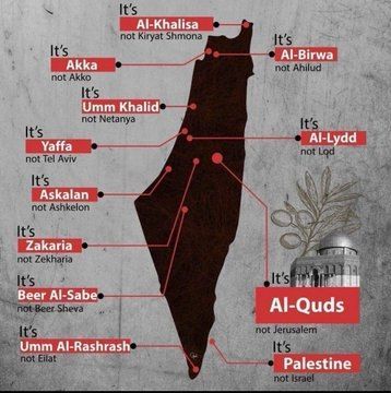 The Palestinian tweet media