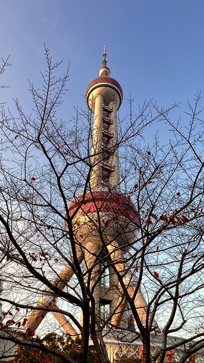 apinutt4's tweet photo. Shanghai in Autumn 🍂 

โพสต์ให้แมสน่าจะยาก 555 ทำที่ถนัดละกัน เที่ยวกันต่อครับ เซี่ยงไฮ้ใบไม้เปลี่ยนสี 🍂แดดยามเช้ากับยามเย็น สวยขึ้นอีก 300% อยากให้เห็นมุมแมสๆ และมุมอื่นๆ ผ่านมุมมองผมนะครับ

📍Shanghai, China 🇨🇳

#Shanghai #AutumnInShanghai #Autumn #Sunset #Sunrise #China
#ขยันเที่ยวแต่เดี๋ยวก่อน