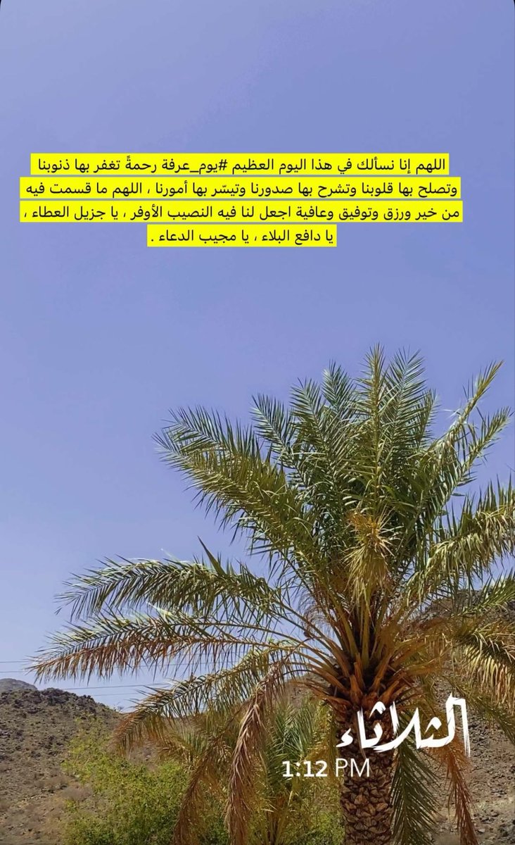 f3FCB3's tweet photo. @hhil99 اللهم امين https://t.co/AKBg9RuYIr