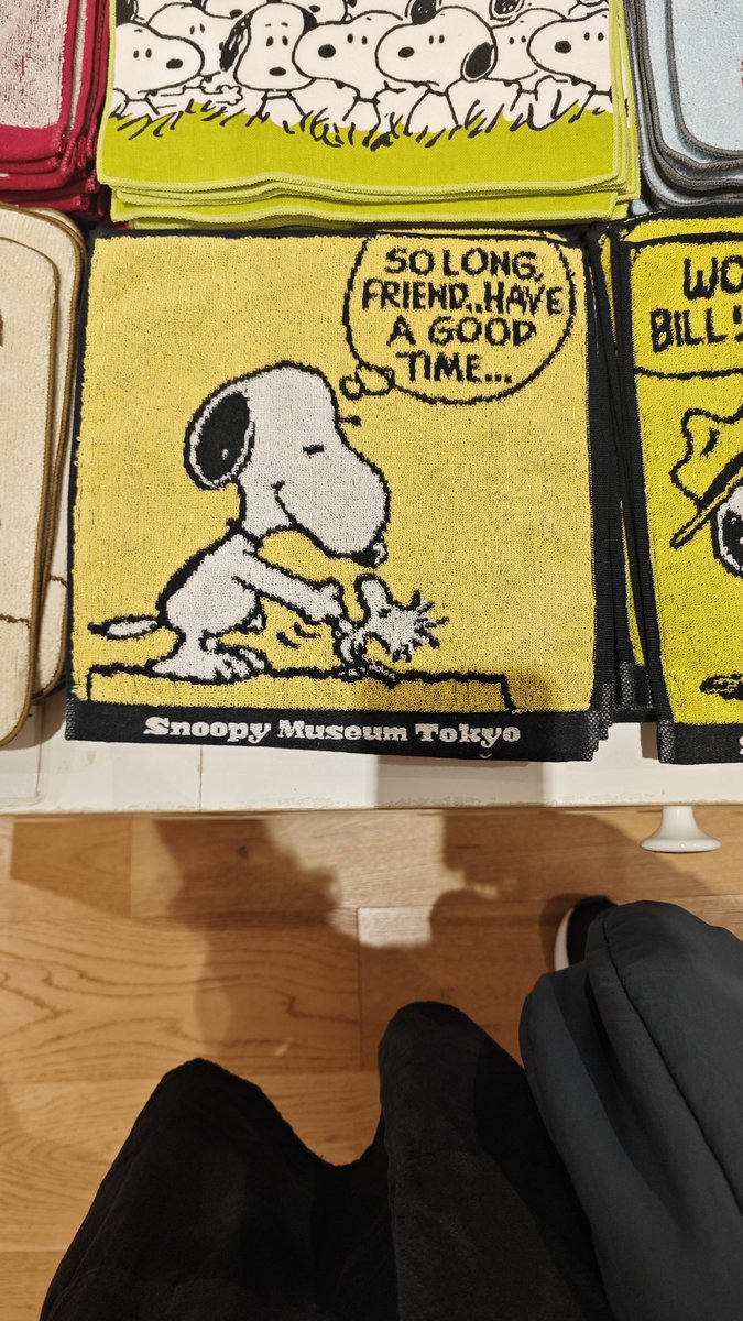 aimedshots's tweet photo. Went to the snoopy museum today.....hollanov-coded snoopy and woodstock 🥹🥹🥹🤏 https://t.co/T3gKWbgmrV