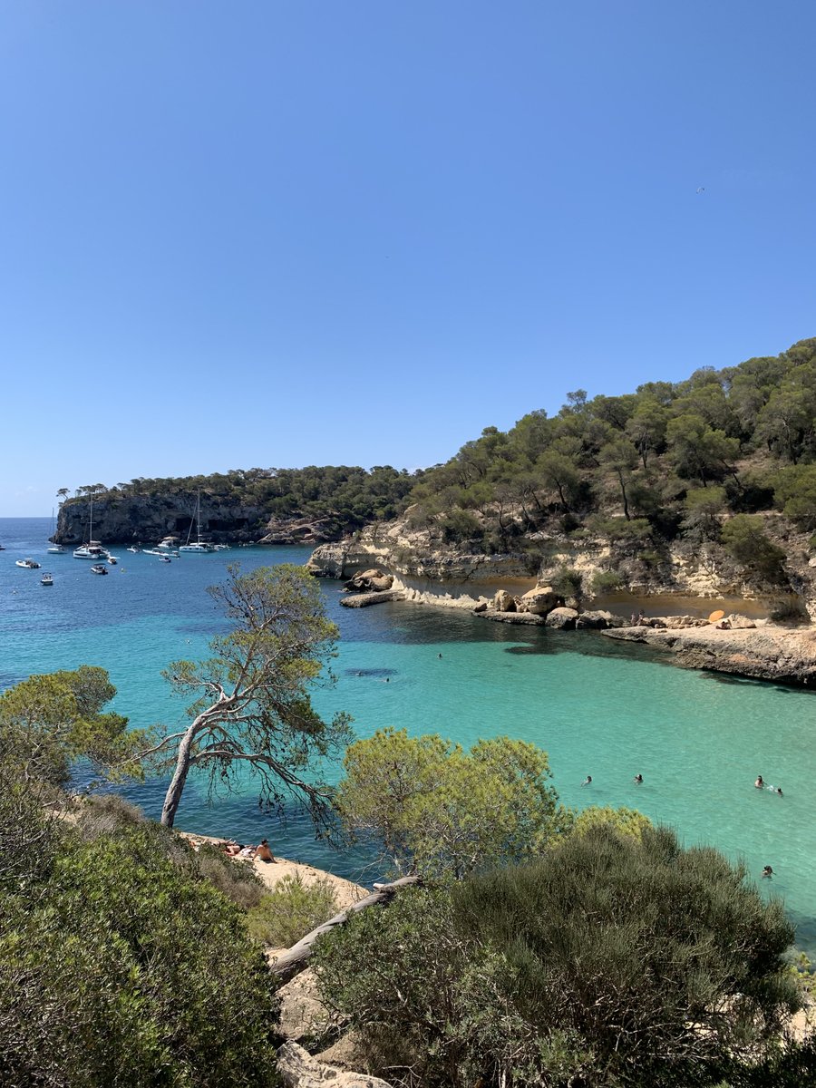 JaRibasOl's tweet photo. @jacobpetrus_tve @aquilatierratve Mallorca ayer! https://t.co/6K7FeMwDGH