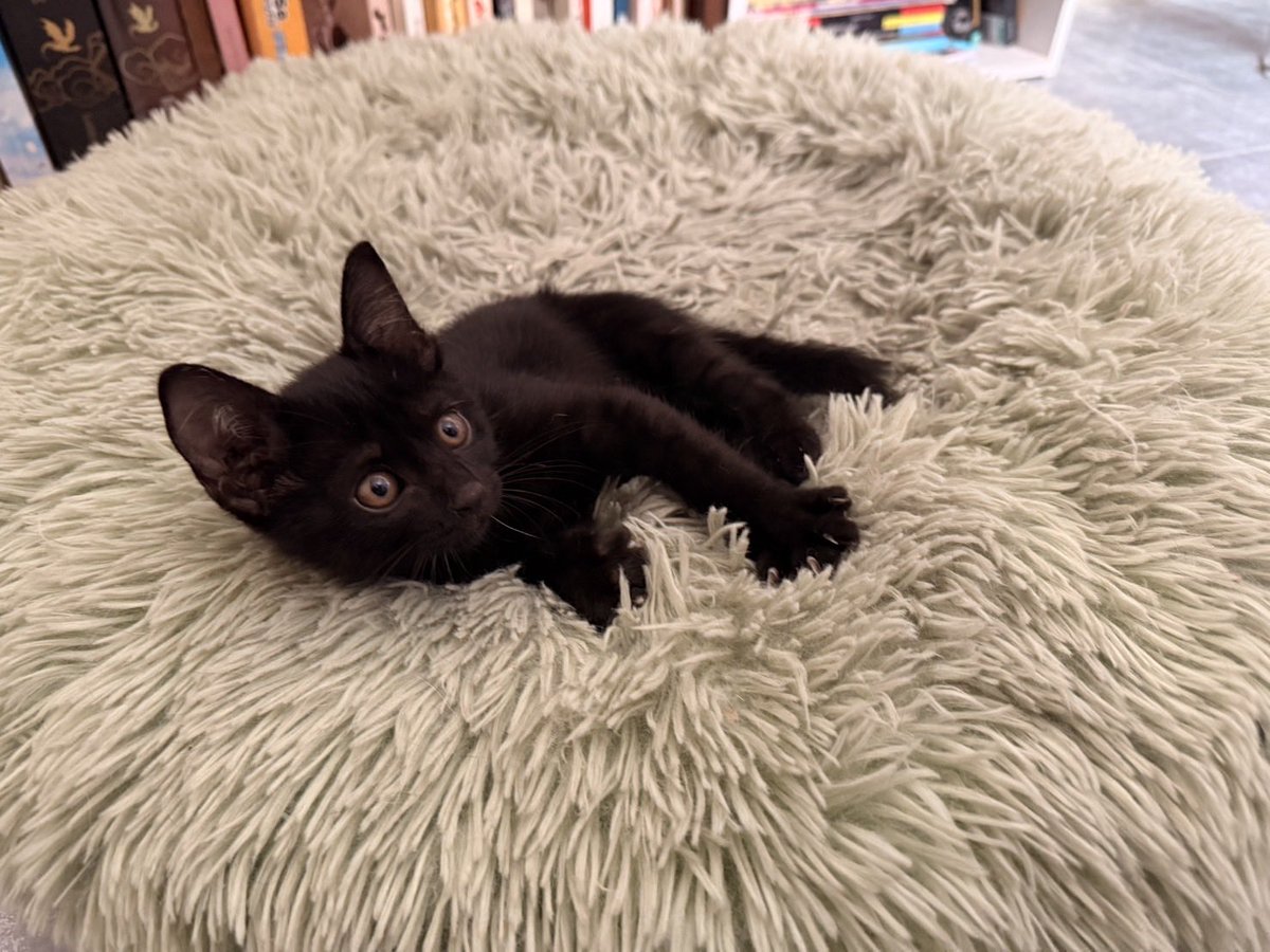 คือผมต้องทราบไหม 🐈‍⬛ tweet media