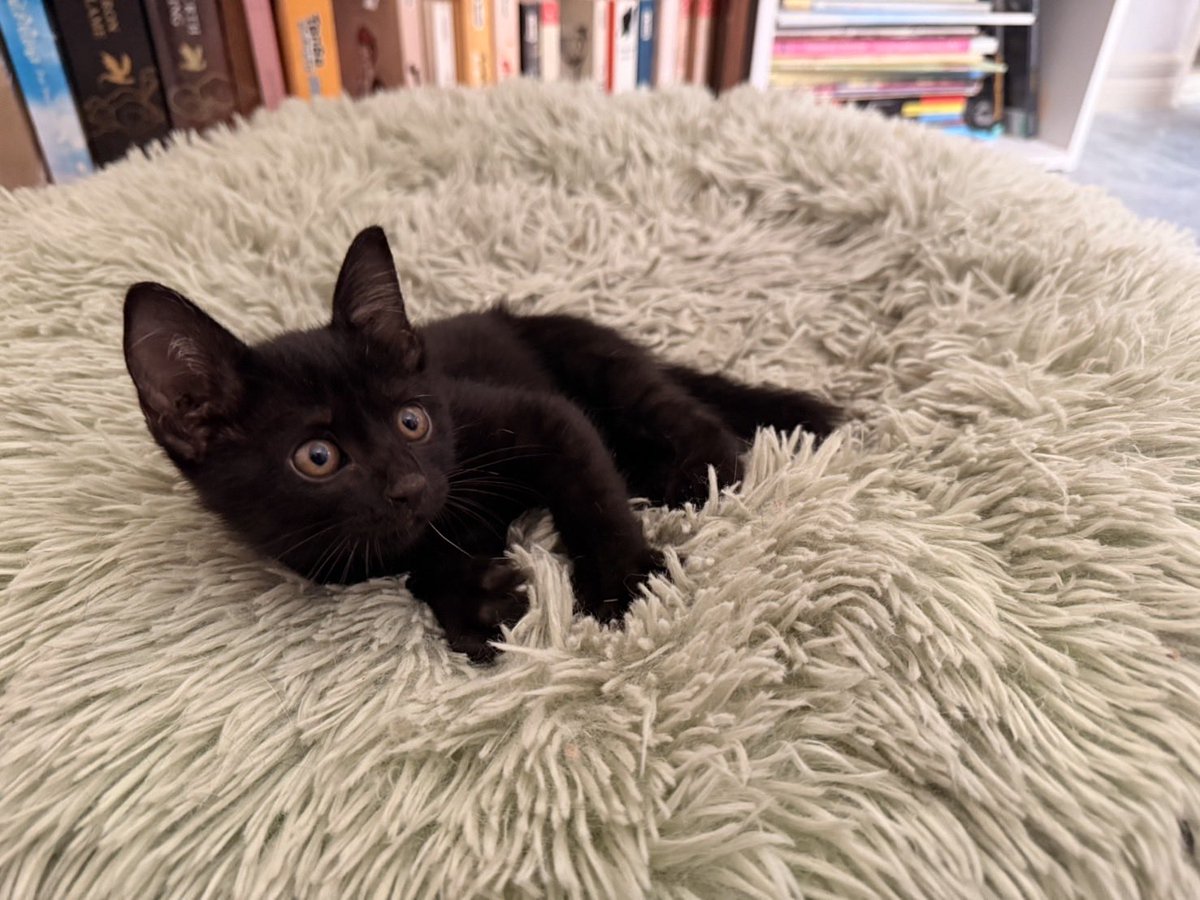 คือผมต้องทราบไหม 🐈‍⬛ tweet media