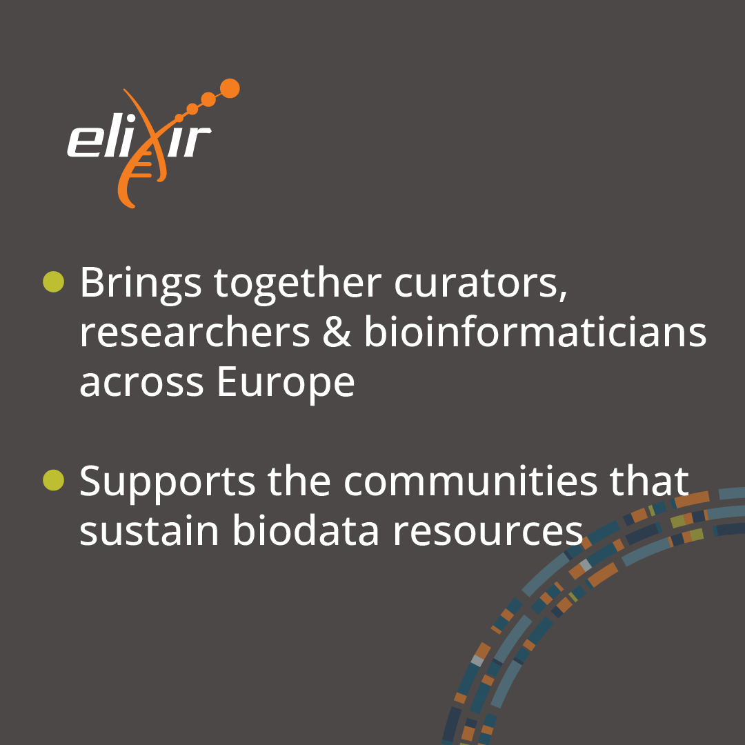 ELIXIREurope's tweet photo. 🌍 Global #biodata resources like @FlyBaseDotOrg &amp; #PomBase are important to driving research forward. Stable funding and #datacuration efforts ensure these resources remain reliable. 🙌 ELIXIR supports the communities that sustain biodata resources. @globalbiodata @ElixirNodeUk https://t.co/IJ6OhDV7gJ