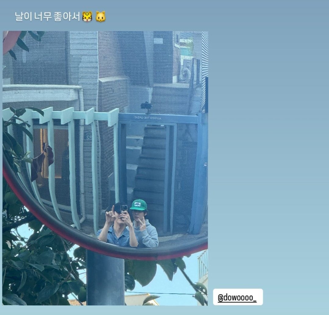 개똥 tweet media