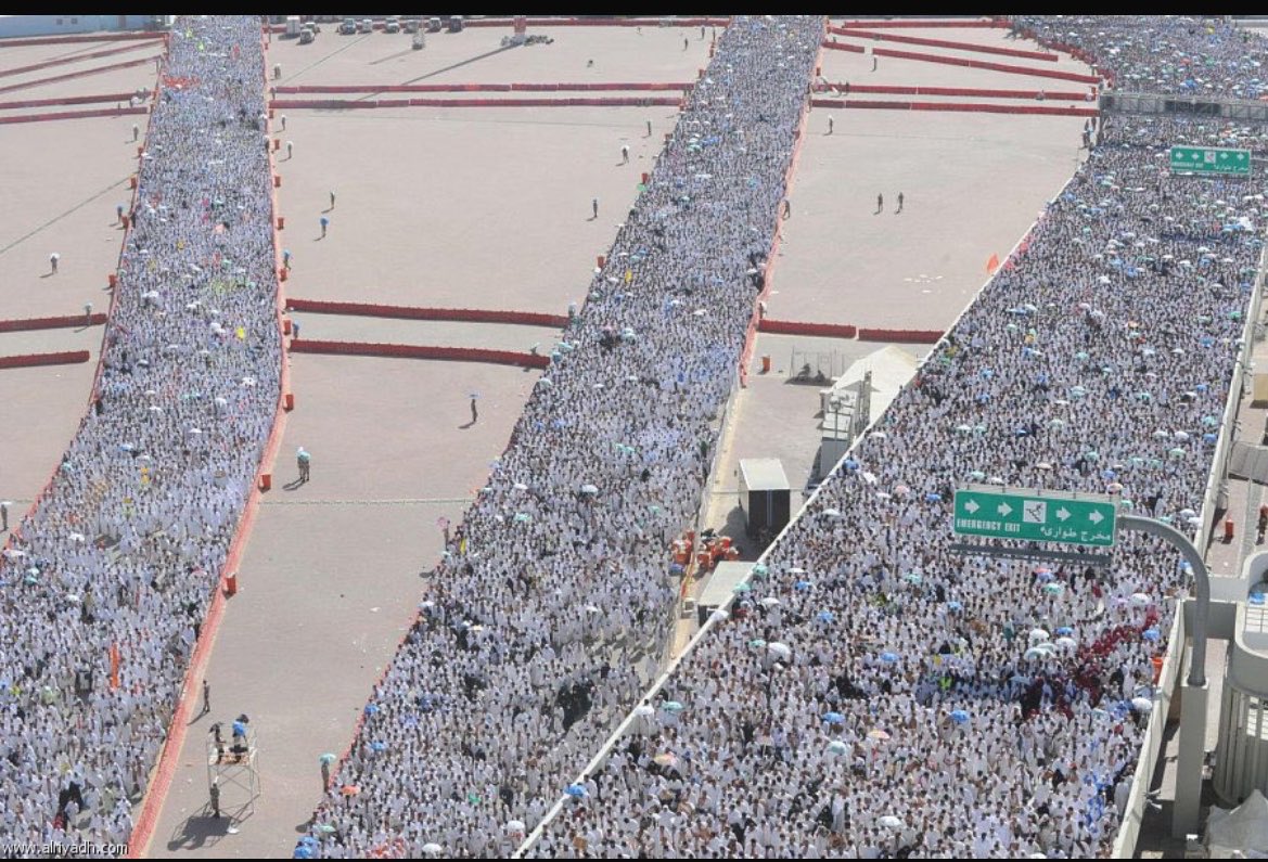 Whiteeflowwer's tweet photo. يَا لَيْتَنِي فِي أَرْضِ مَڪّةَ أبْتَغِي
فَضْلَ الإلهِ مَعَ الحَجِيجِ أُنَادِي
لَبّيْكَ يا الله جِئْتُ مُلَبّيًا
جَرّدت منْ ڪُلّ الحَيَاةِ فُؤَادِي🩷 https://t.co/GvyH548jlH