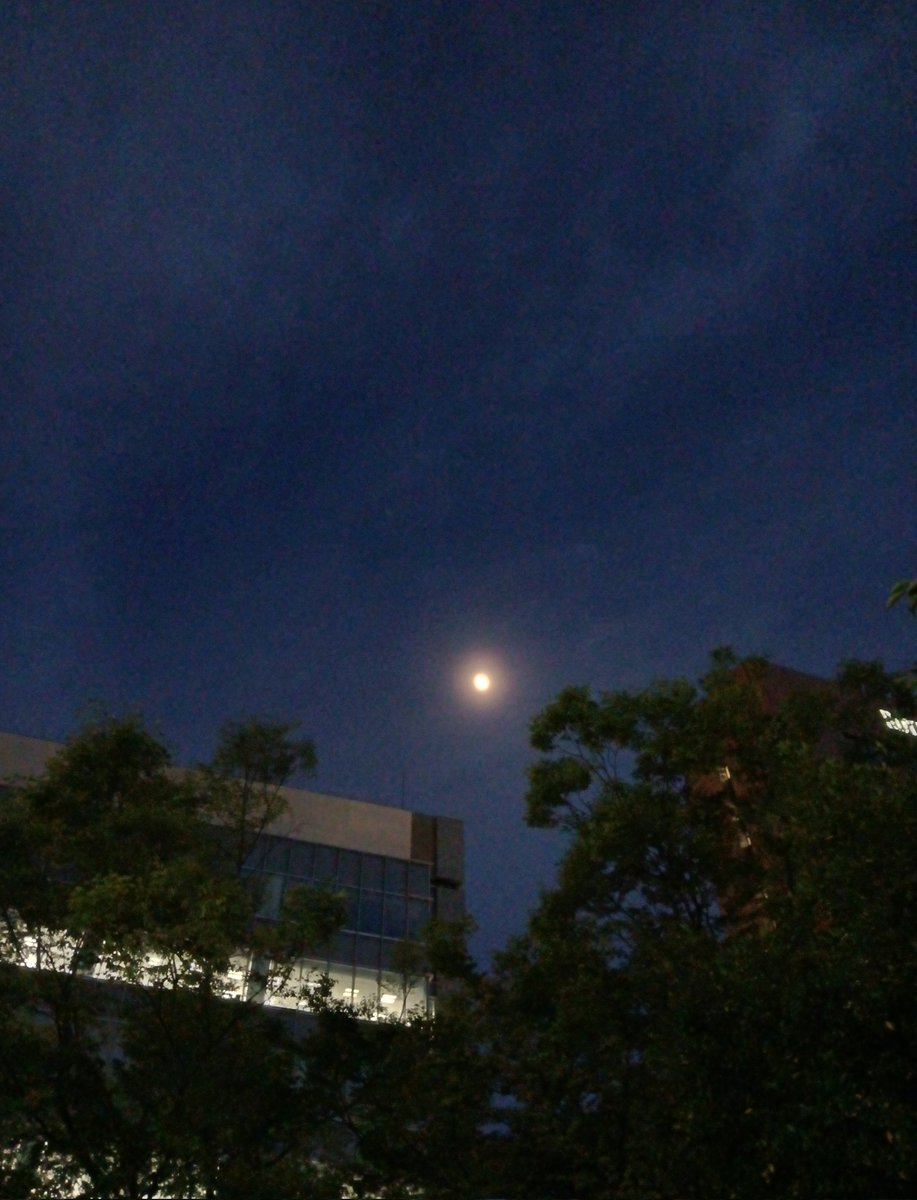 Post by MIYA on X: 朧月かな🌓