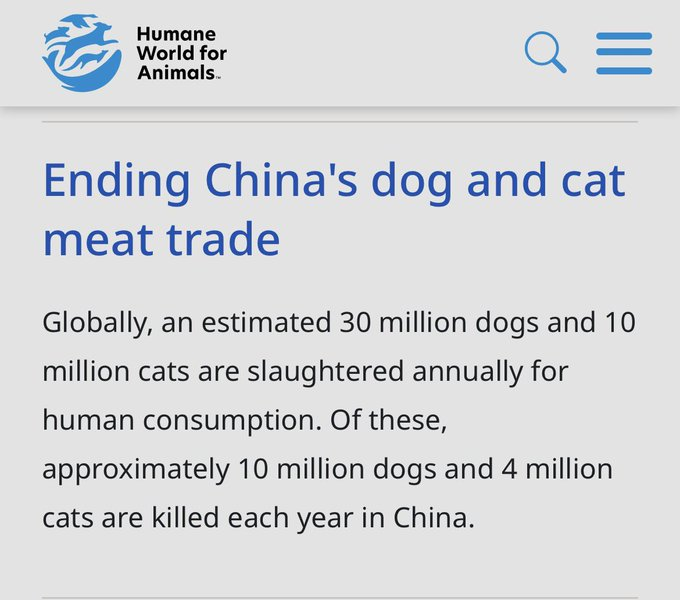 pepe_nature's tweet photo. @Unveiled_ChinaX @Murica1791 No you are not mistaken , its all true. Look at #Yulin the horrible festival is going on right now!
#Yulindogmeatfestival https://t.co/rk5lbtQX52