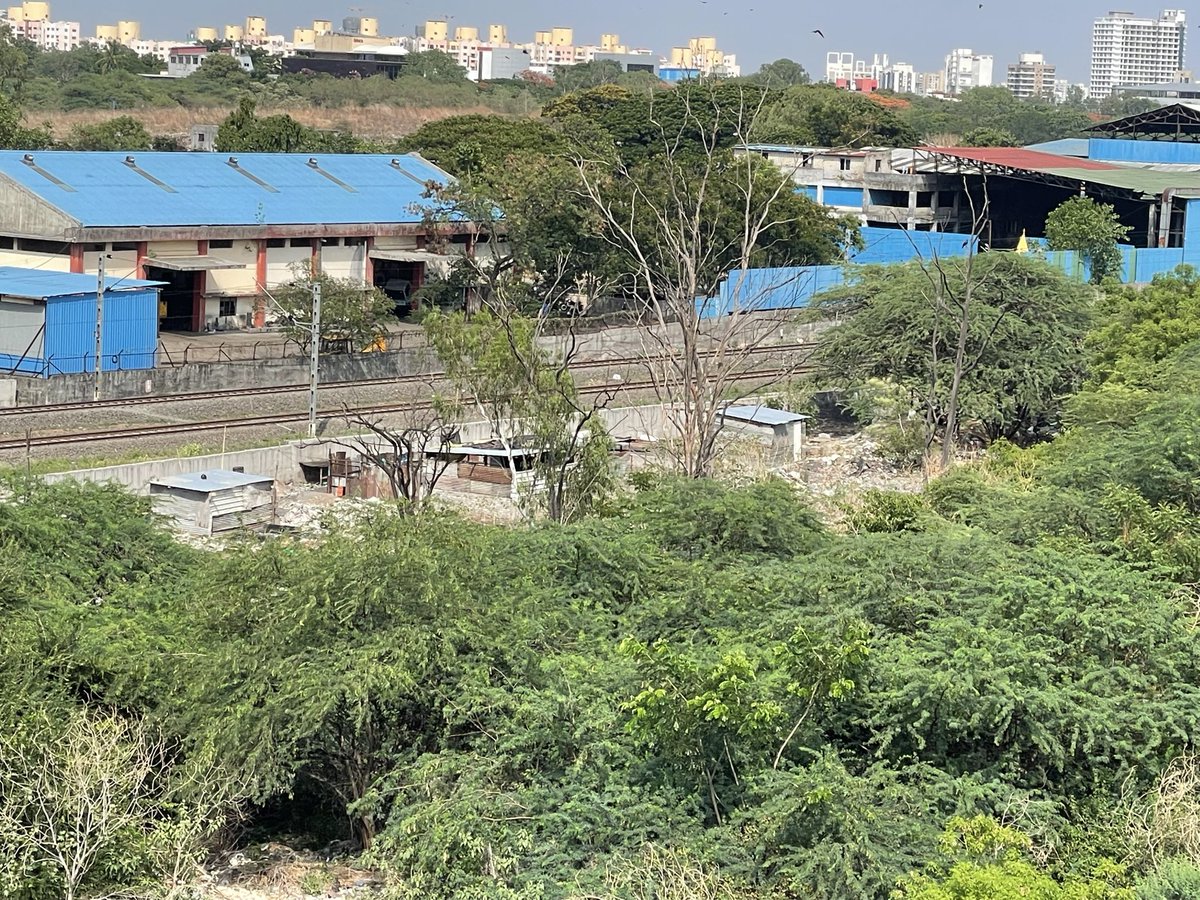 neelac9's tweet photo. @RVikhePatil @RVikhePatil sir pls see encroachment on Irrigation Dept land near #Hadapsar, #BTKawaderoad #Pune: debris dumping, garbage, illegal sheds &amp; tree destruction around dept canal. This may worsen flooding. Request urgent action. Photos attached. @PMCPune @CollectorPune @navalMH https://t.co/neB8aE8oB3