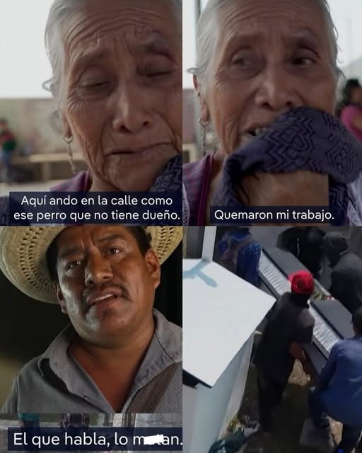 constanza luna tweet media