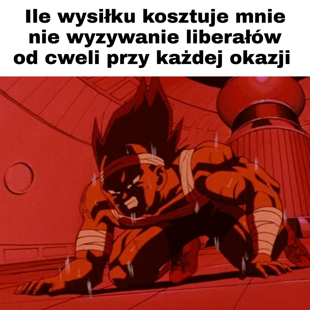 AlfariuszOmegon's tweet photo. @andrzejewski_jk https://t.co/JNaUaH4Fug