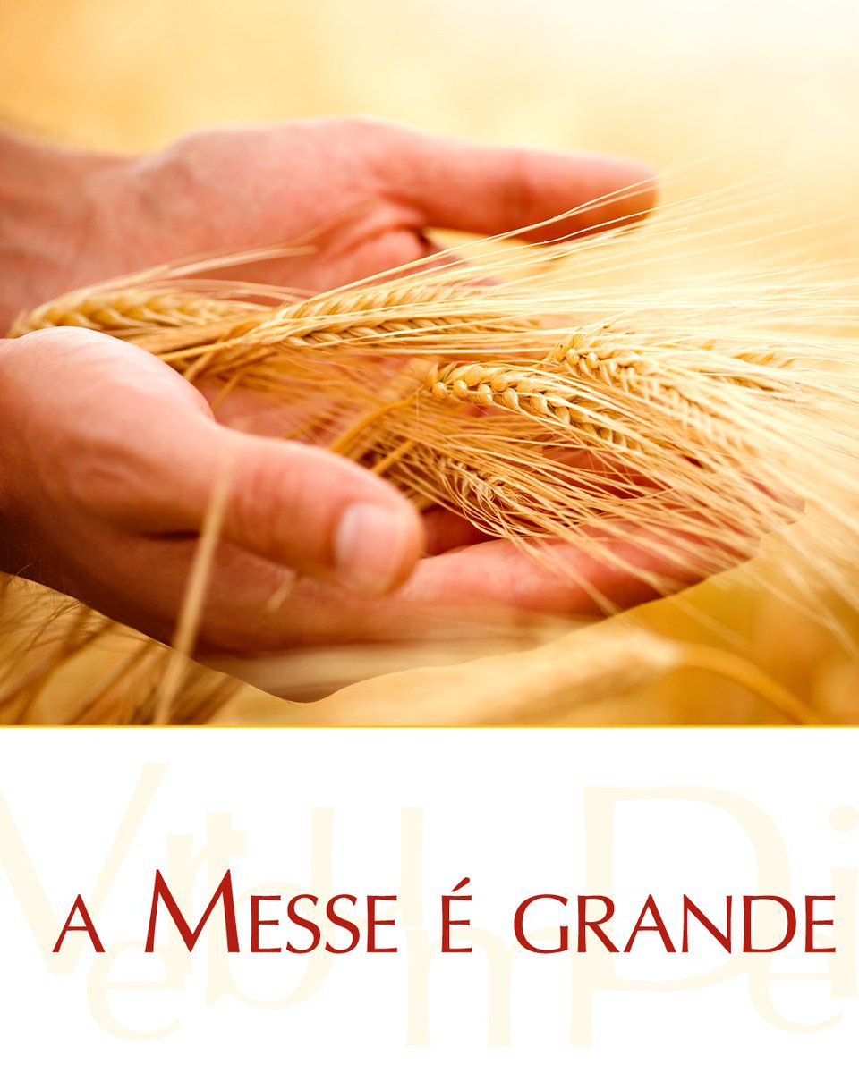 vaticannews_pt's tweet photo. Então disse a seus discípulos:
"A Messe é grande, mas os trabalhadores são poucos.
Pedi pois ao dono da messe
que envie trabalhadores para a sua colheita!"

#EvangelhodeHoje Mt 9,36-10,8
https://t.co/08hpixVya6 https://t.co/3ONjMsXQSE