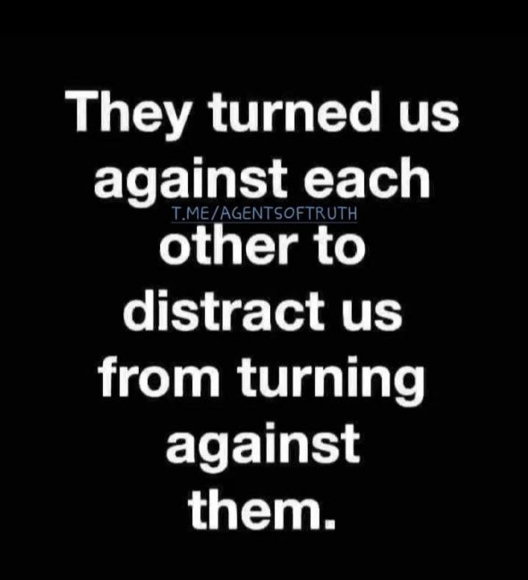Truthseeker tweet media