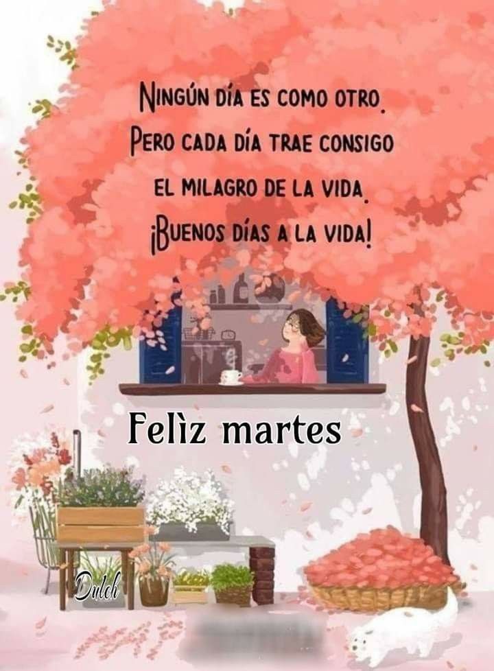 Alondra04461139's tweet photo. Buenísimos días mís preciados congéneres consentidos 😘🤗 Fuerza y Luz 🥰🤗 Fe y Esperanza 😘🥰 GRATITUD por siempre . . . 🥰😘🤗🥰😘🤗🥰😘😘🥰😘🤗🥰🤗🥰 https://t.co/klvfT62m0d