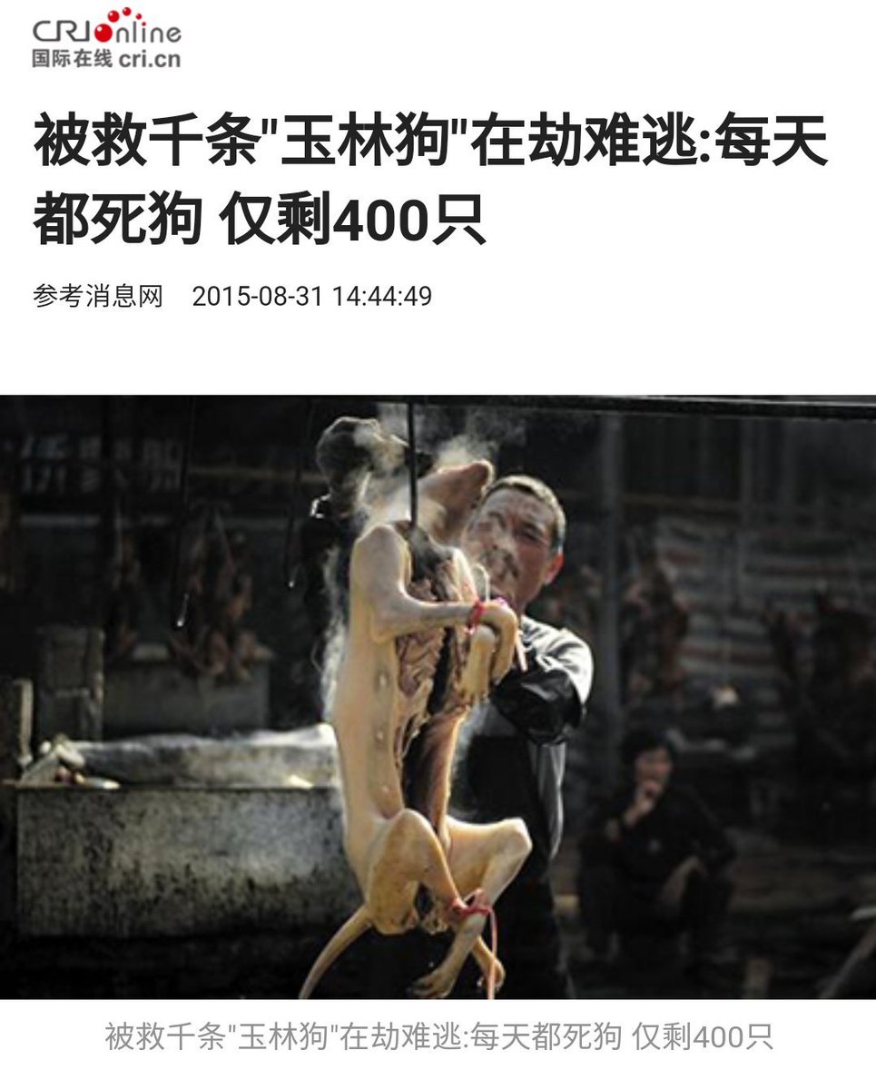 pepe_nature's tweet photo. @FreyaD2024 @Unveiled_ChinaX @Murica1791 @MFA_China It's  all clear. Their lack of respect and devotion to animals  makes me sick.
the heinous #dogmeatfestival trade in #Yulin 
@MFA_China
@SpoxCHNinUS
@AmbXieFeng
@Zhengfawei80
@Chinamission2un
@ChinaAmbUN
@Zhou_Li_CHN
@zlj517 
@chineseembinus
@spoxchn_maoning
@cgchenliny https://t.co/5Cb17O5dAc