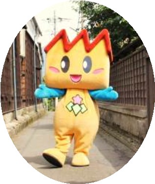 真ぷくぷく始めました tweet media