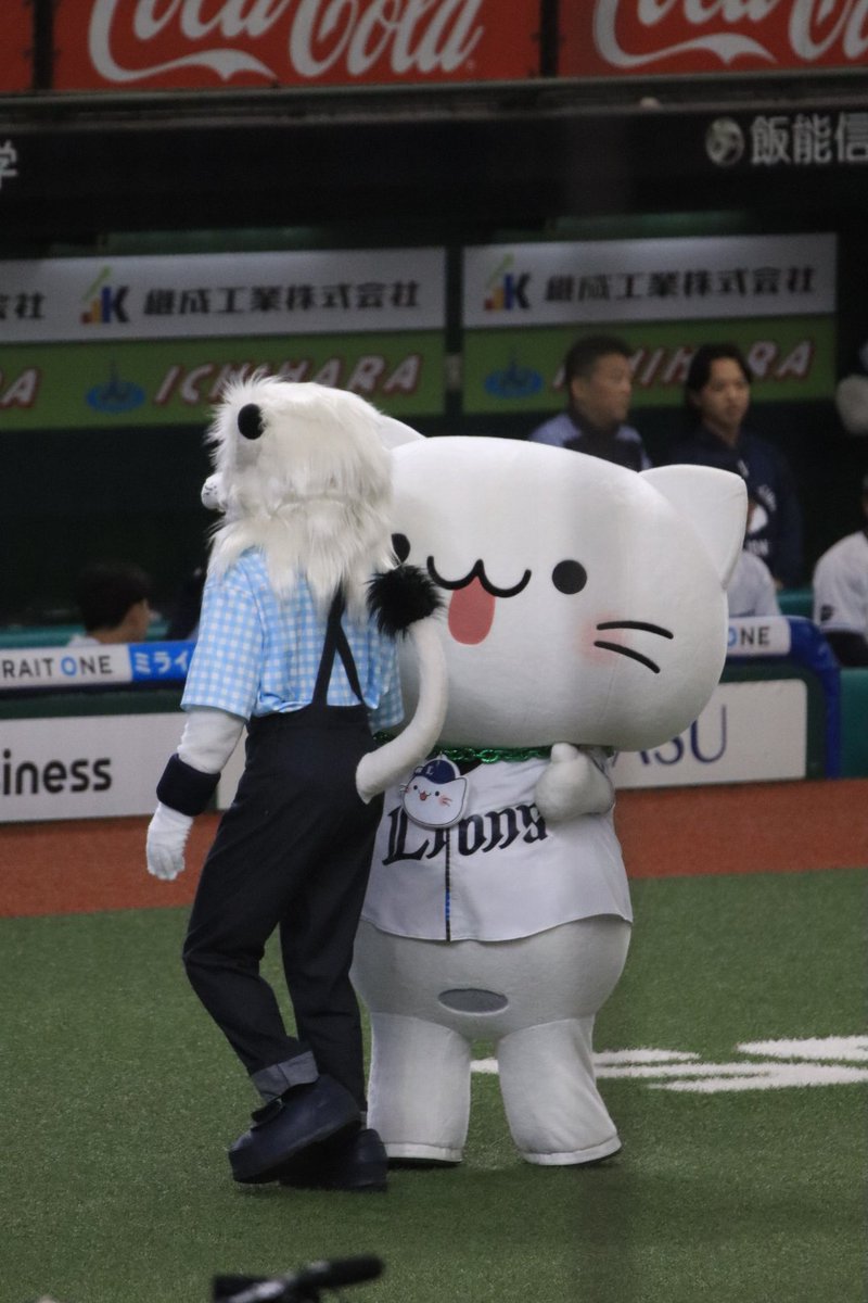 しぇ tweet media