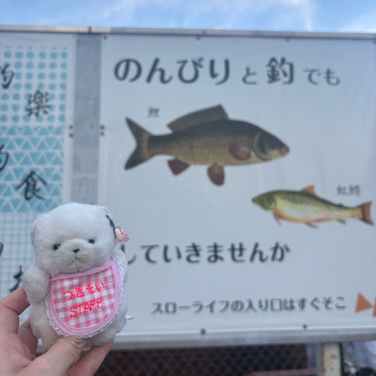 ac0xp's tweet photo. 釣り堀だから、鮭はいないよ https://t.co/uU0dRAoNK7