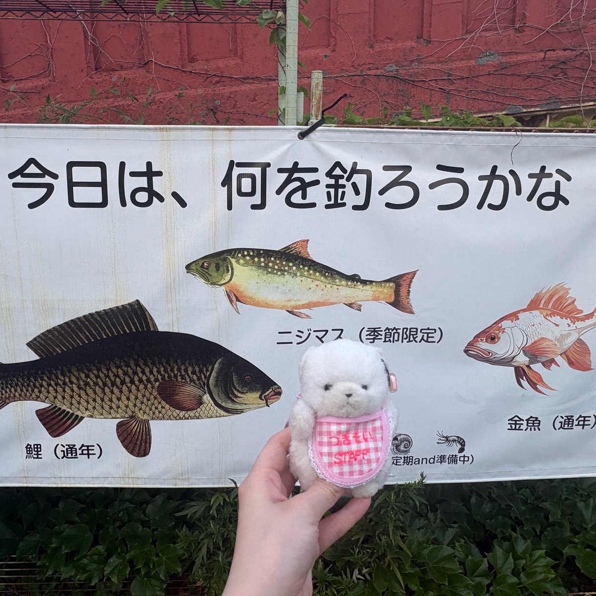 ac0xp's tweet photo. 釣り堀だから、鮭はいないよ https://t.co/uU0dRAoNK7
