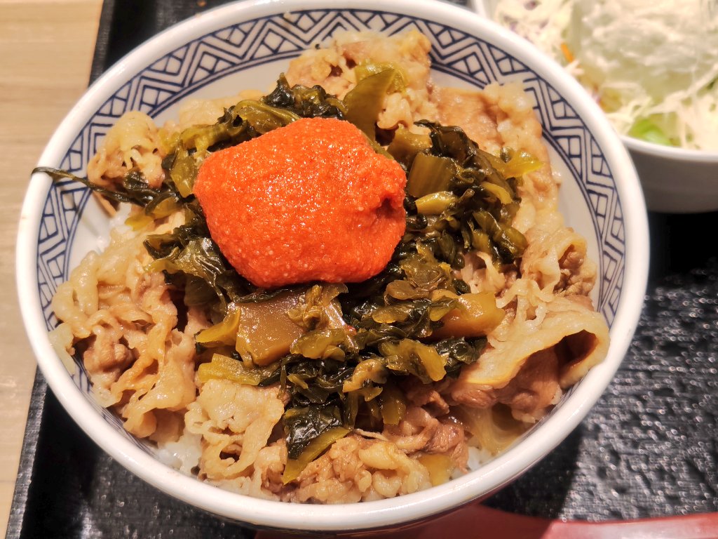 massaa14's tweet photo. 本日の夕食は、吉野家へ
牛丼並盛&amp;ポテサラセット&amp;明太高菜マヨ追加　合計360円
ごちそうさまでした～😋👍💕
#吉野家HD
#牛丼並盛無料券使用
#久しぶりの明太高菜紅牛丼
#残りはニコニコ現金払いで〜す😊💰️ https://t.co/WwQZjkCZ46